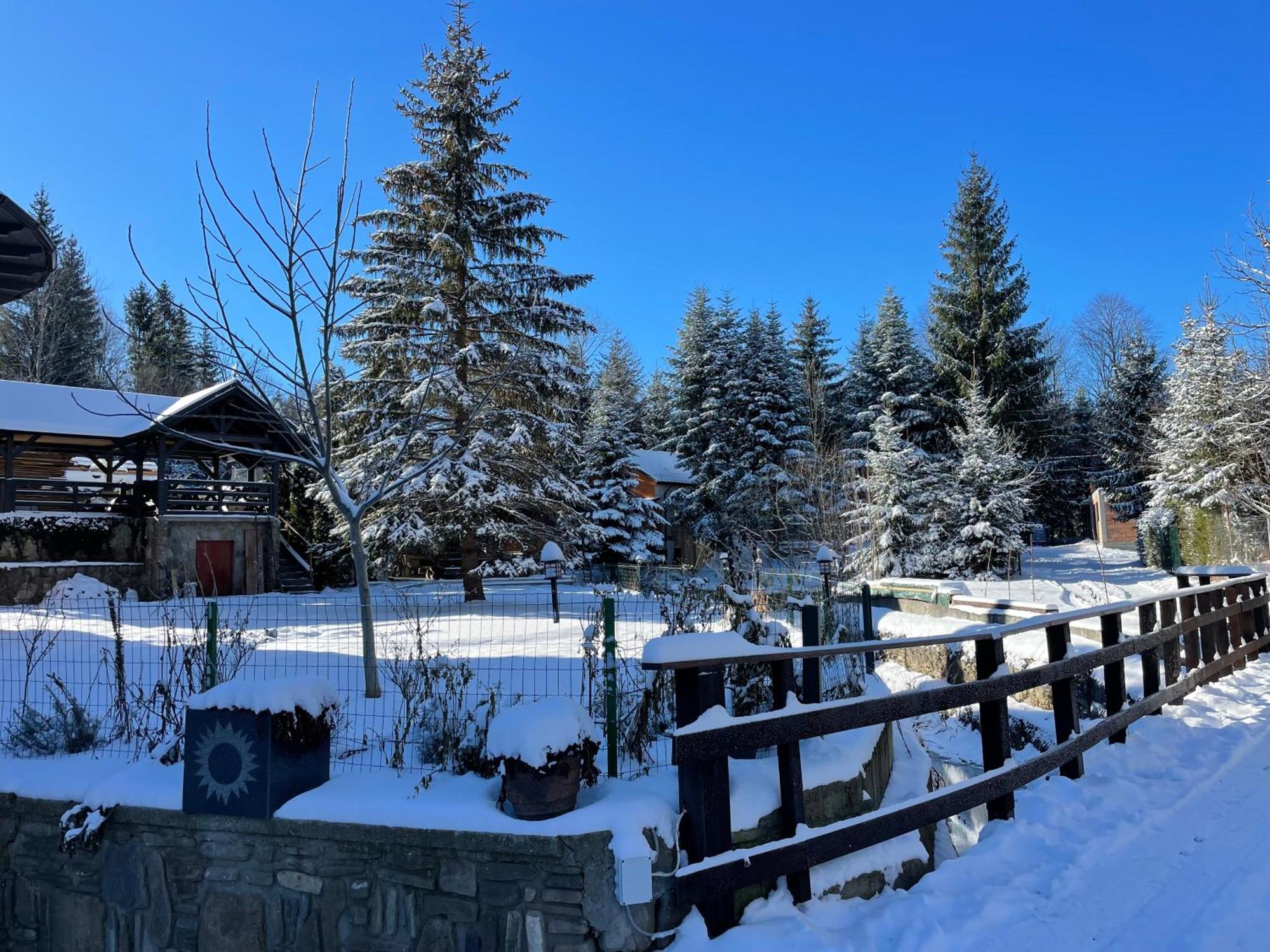 Montana Hotel Sucevita Kültér fotó